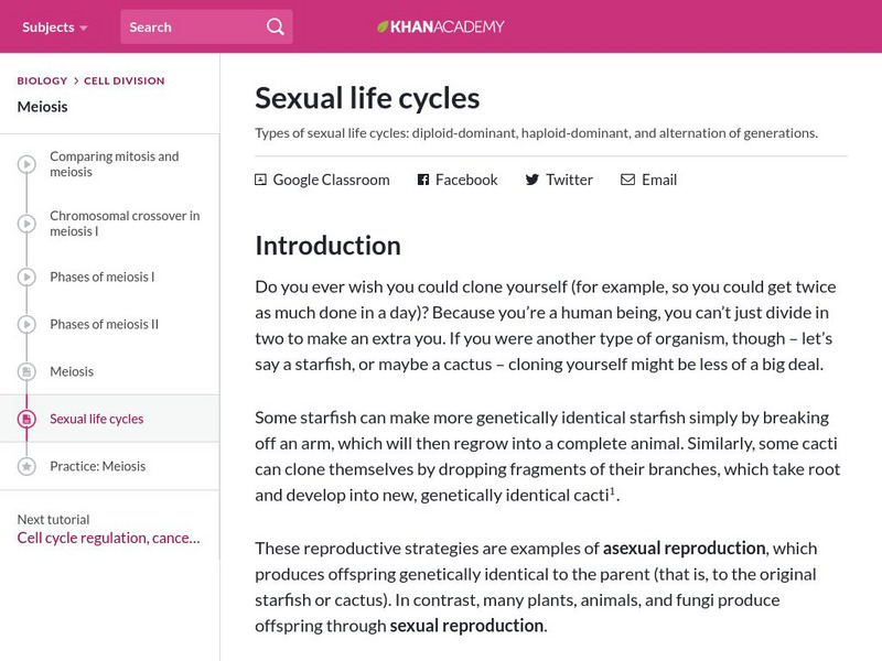 Khan Academy: Sexual Life Cycles Handout Khan Academy: Sexual Life Cycles Handout