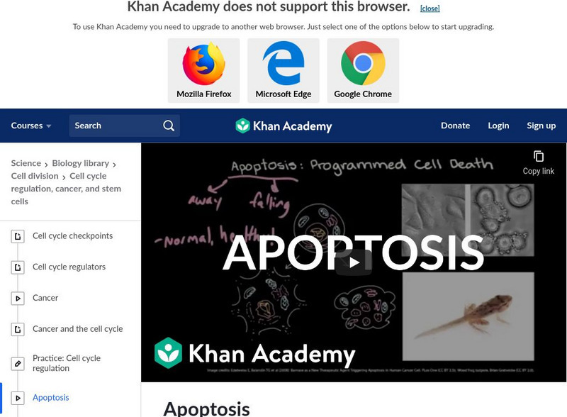 Khan Academy: Apoptosis Instructional Video Khan Academy: Apoptosis Instructional Video