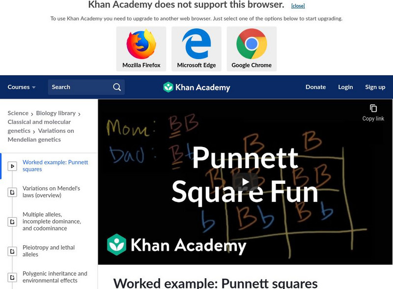 Khan Academy: Worked Example: Punnett Squares Instructional Video