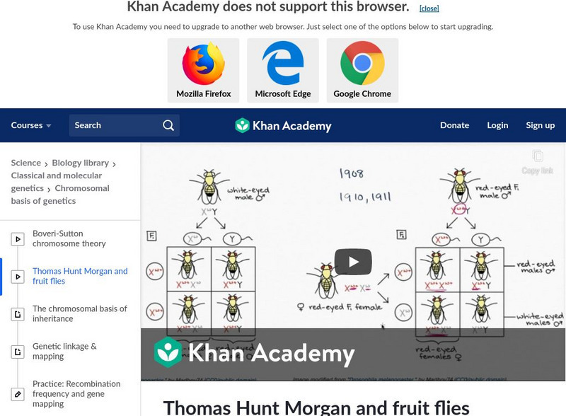 Khan Academy: Thomas Hunt Morgan and Fruit Flies Instructional Video Khan Academy: Thomas Hunt Morgan and Fruit Flies Instructional Video