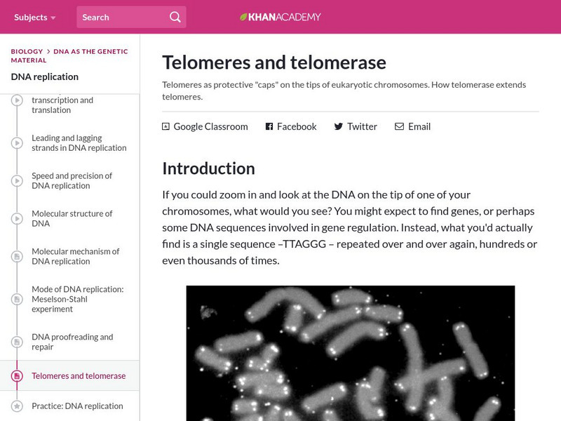 Khan Academy: Telomeres and Telomerase eBook Khan Academy: Telomeres and Telomerase eBook