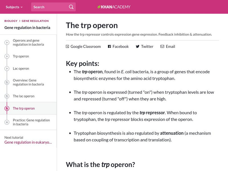 Khan Academy: The Trp Operon eBook