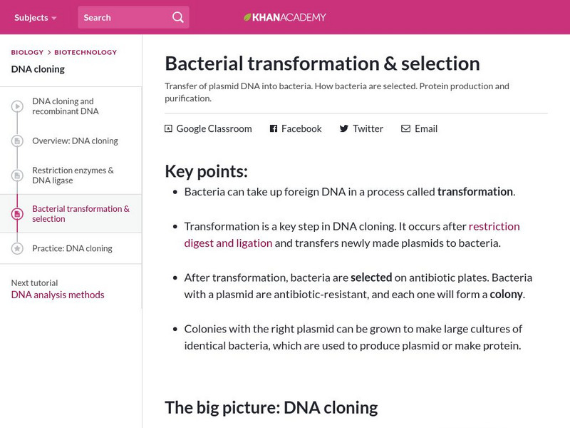 Khan Academy: Bacterial Transformation & Selection eBook Khan Academy: Bacterial Transformation & Selection eBook