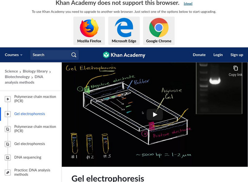 Khan Academy: Gel Electrophoresis Instructional Video Khan Academy: Gel Electrophoresis Instructional Video