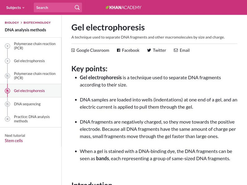 Khan Academy: Gel Electrophoresis eBook Khan Academy: Gel Electrophoresis eBook