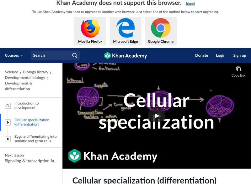 Khan Academy: Cellular Specialization Differentiation Instructional Video Khan Academy: Cellular Specialization Differentiation Instructional Video