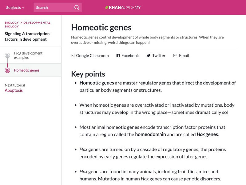 Khan Academy: Homeotic Genes eBook Khan Academy: Homeotic Genes eBook