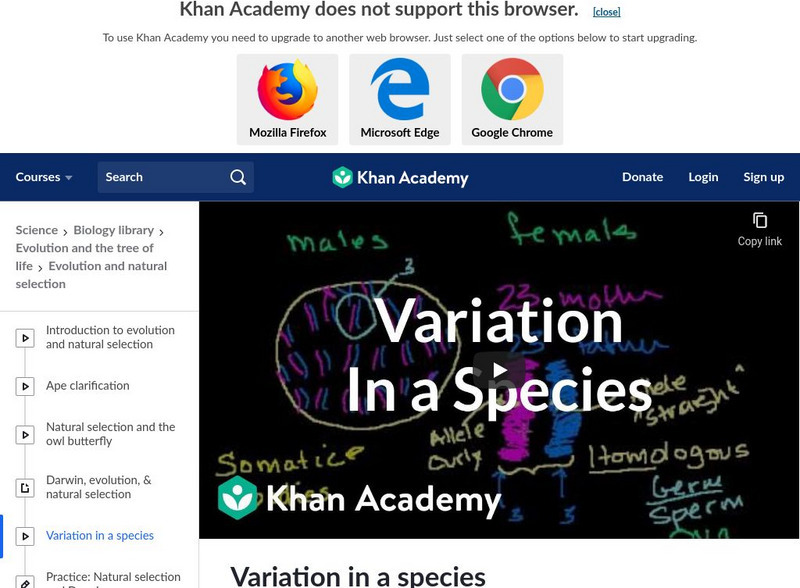 Khan Academy: Variation in a Species Instructional Video