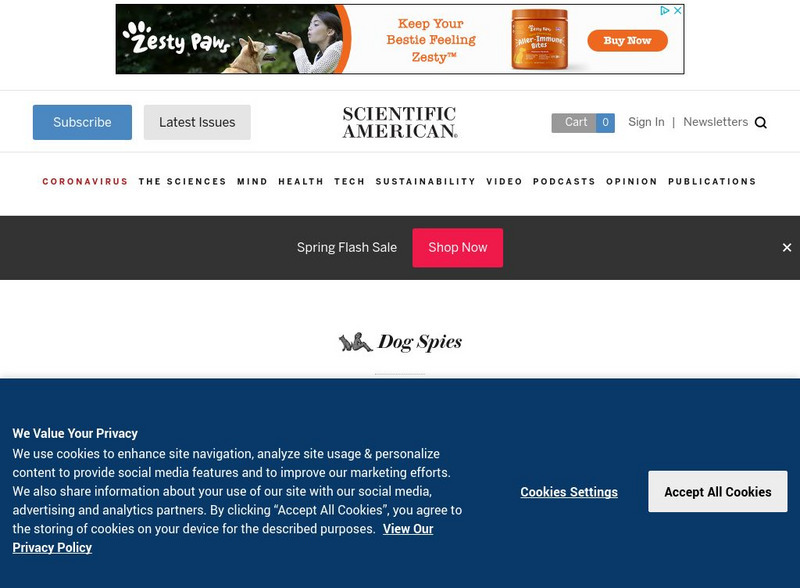 Scientific American: Dogs Process Language Like Us, but What Do They Understand? Article