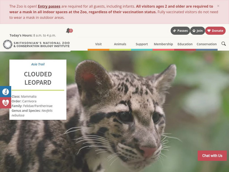 Smithsonian National Zoo: Clouded Leopard Fact Sheet Handout