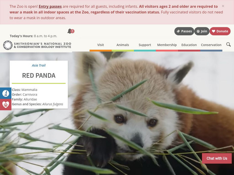 Smithsonian National Zoo: Red Pandas Handout Smithsonian National Zoo: Red Pandas Handout