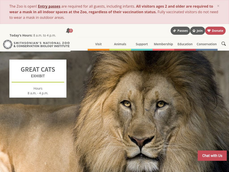 Smithsonian National Zoo: Facts About Great Cats Handout Smithsonian National Zoo: Facts About Great Cats Handout