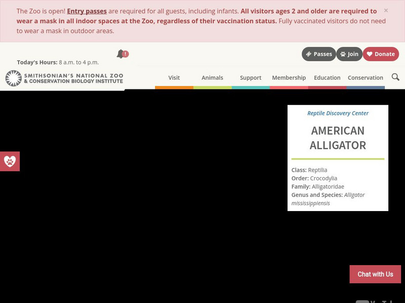 Smithsonian National Zoo: American Alligator Fact Sheet Handout Smithsonian National Zoo: American Alligator Fact Sheet Handout