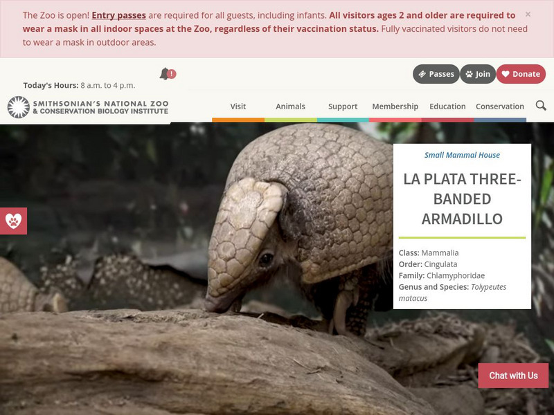 Smithsonian National Zoo: La Plata Three Banded Armadillo Handout Smithsonian National Zoo: La Plata Three Banded Armadillo Handout