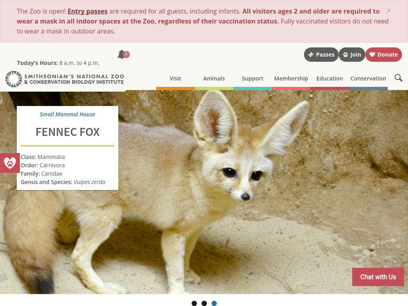 Smithsonian National Zoo: Fennec Fox Handout Smithsonian National Zoo: Fennec Fox Handout