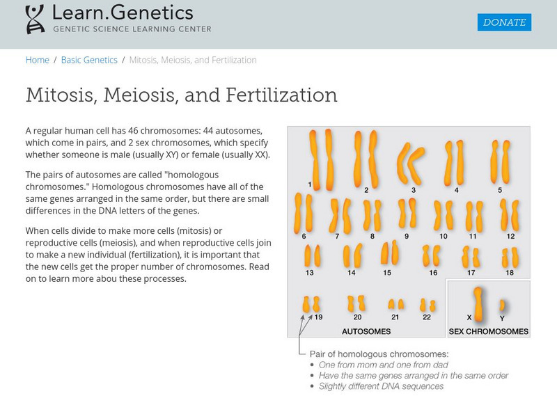 University of Utah: Learning Center: Learn Genetics: Using Karyotypes to Predict Interactive
