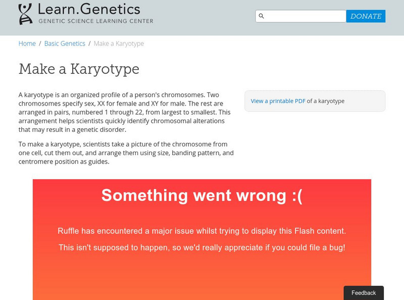University of Utah: Genetics Learning Center: learn.genetics: Make a Karyotype Interactive University of Utah: Genetics Learning Center: learn.genetics: Make a Karyotype Interactive