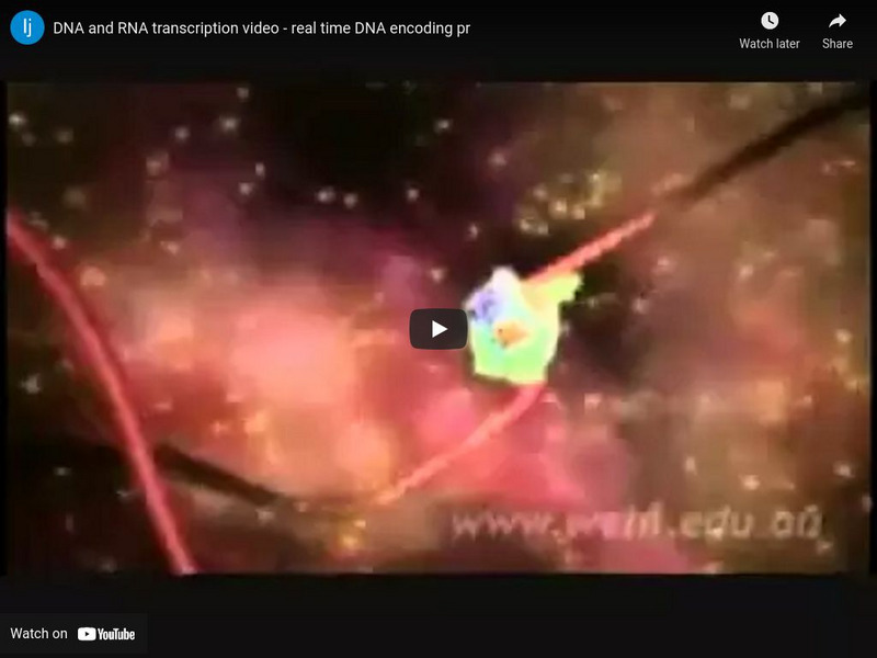 Dna and Rna Transcription: Real Time Dna Encoding Pr Instructional Video Dna and Rna Transcription: Real Time Dna Encoding Pr Instructional Video