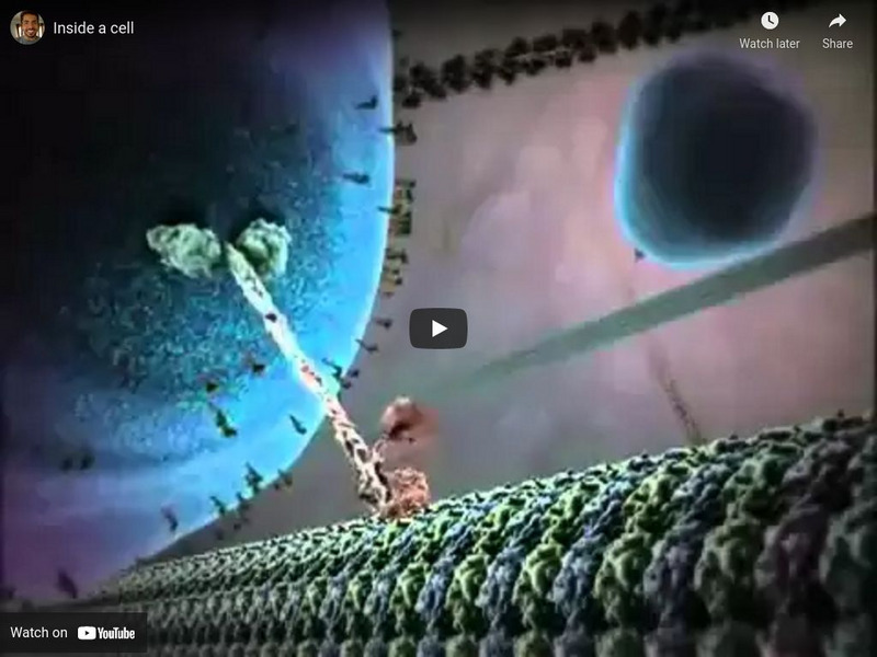 Inside a Cell Instructional Video Inside a Cell Instructional Video