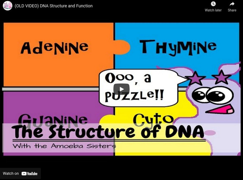 Amoeba Sisters: Structure of Dna Instructional Video Amoeba Sisters: Structure of Dna Instructional Video