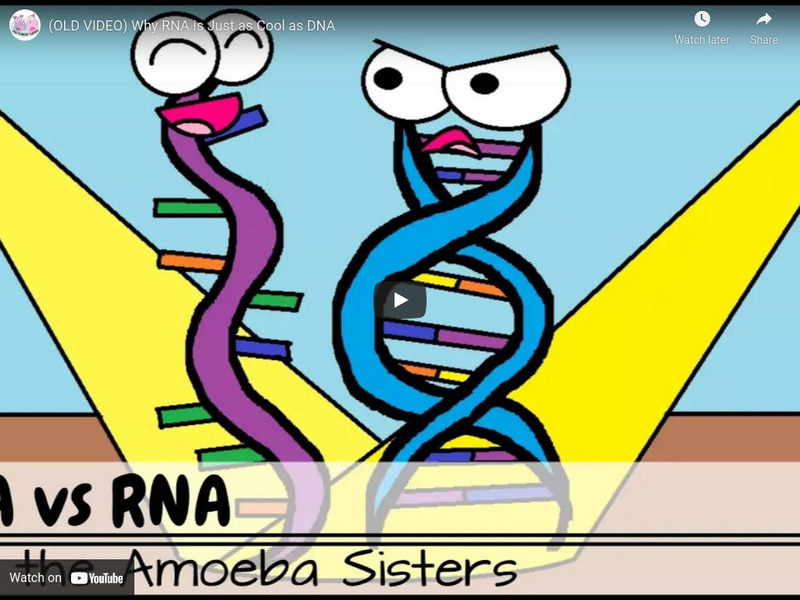 Amoeba Sisters: Dna vs Rna Instructional Video Amoeba Sisters: Dna vs Rna Instructional Video