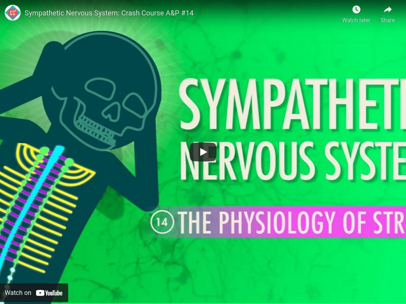 Crash Course A&p #14: Sympathetic Nervous System Instructional Video Crash Course A&p #14: Sympathetic Nervous System Instructional Video