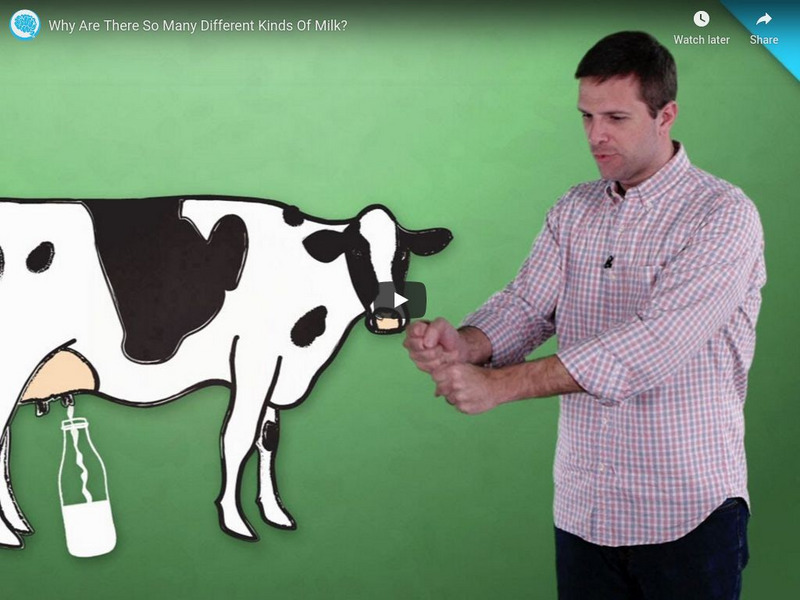 Brain Stuff: Why Are There So Many Different Kinds of Milk? Instructional Video