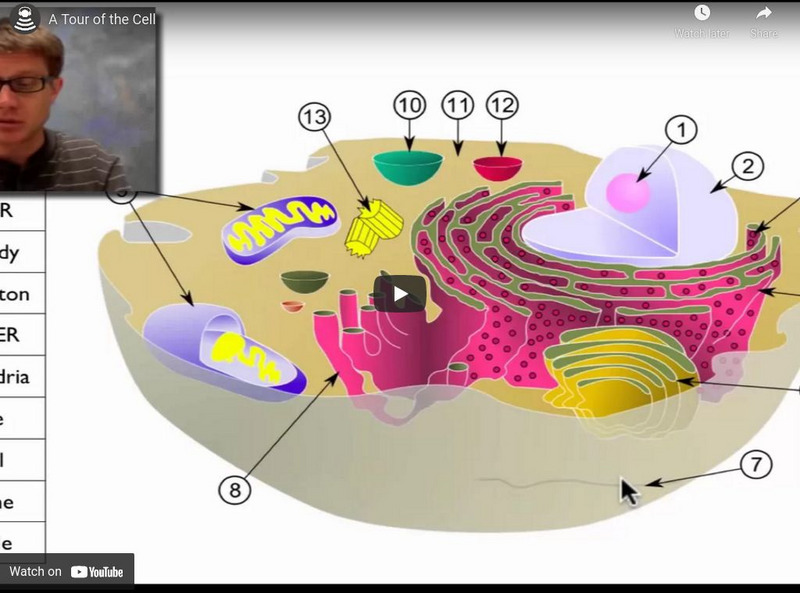 Bozeman Science: A Tour of the Cell Instructional Video Bozeman Science: A Tour of the Cell Instructional Video