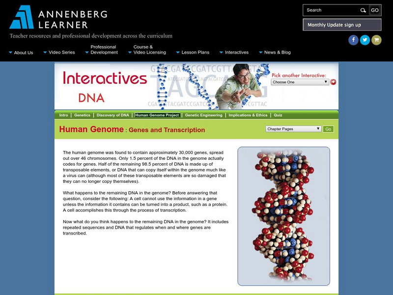 Annenberg Learner: Interactives Dna: Human Genome: Genes and Transcription Unit Plan Annenberg Learner: Interactives Dna: Human Genome: Genes and Transcription Unit Plan