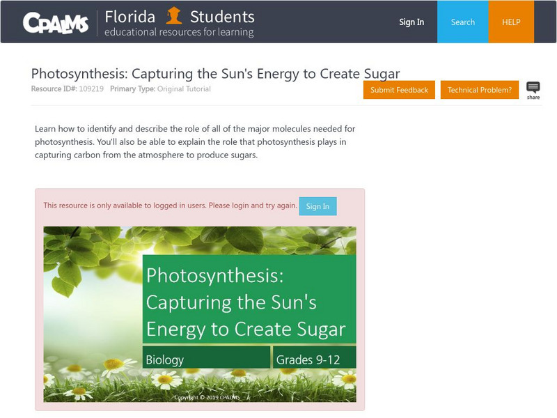 Florida State University Cpalms: Florida Students: Photosynthesis Unit Plan