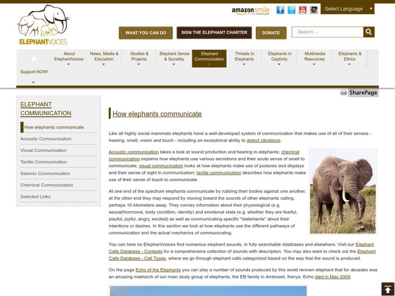 Elephant Voices: How Elephants Communicate Article