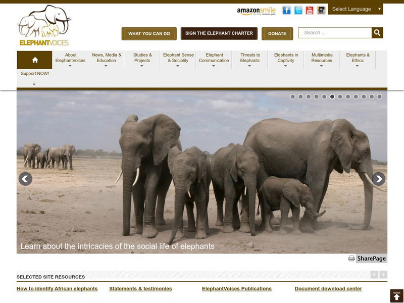 Elephant Voices: Ele Quiz Unknown Type Elephant Voices: Ele Quiz Unknown Type