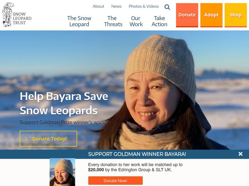 The International Snow Leopard Trust Website The International Snow Leopard Trust Website
