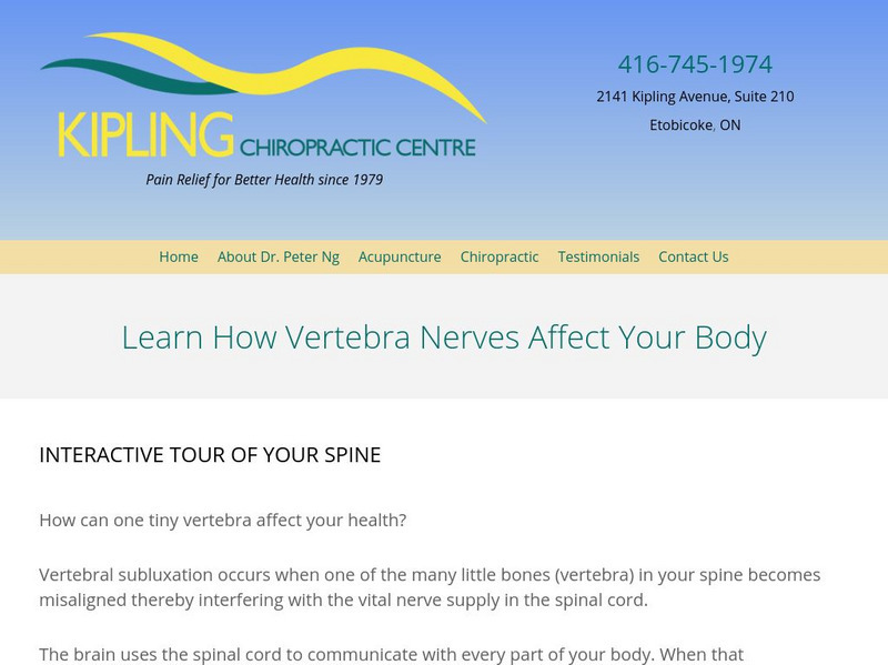 Kipling Chiropractic Centre: Interactive Tour of Your Spine Interactive Kipling Chiropractic Centre: Interactive Tour of Your Spine Interactive