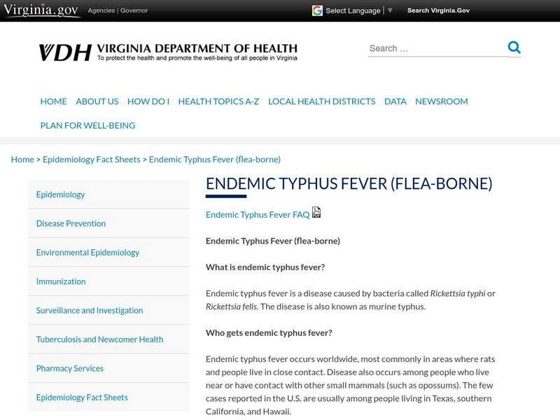 Virginia Department of Health: Typhus Fever (Flea Borne) Handout