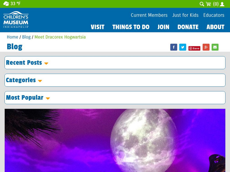 The Children's Museum of Indianapolis: Dracorex Hogwartsia Handout The Children's Museum of Indianapolis: Dracorex Hogwartsia Handout