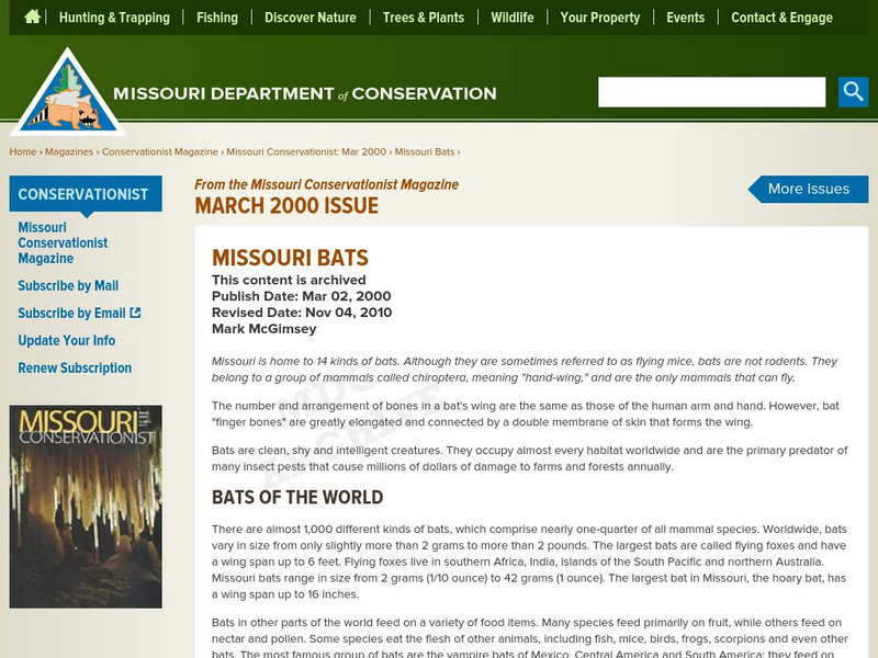 Missouri Conservationist Online: Missouri Bats Handout Missouri Conservationist Online: Missouri Bats Handout