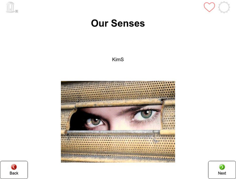 Tar Heel Reader: Our Senses eBook