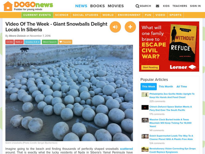 Dogo News: Giant Snowballs Delight Locals in Siberia Article Dogo News: Giant Snowballs Delight Locals in Siberia Article