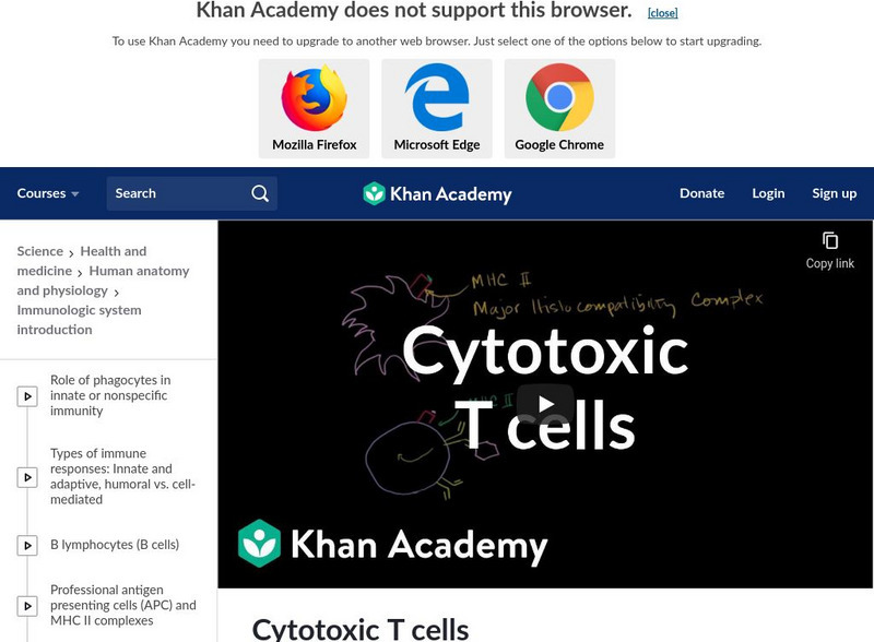 Khan Academy: Cytotoxic T Cells Instructional Video