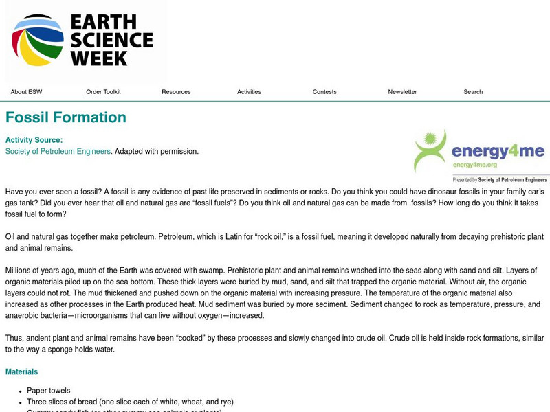 American Geosciences Institute: Earth Science Week: Fossil Formation Lesson Plan American Geosciences Institute: Earth Science Week: Fossil Formation Lesson Plan