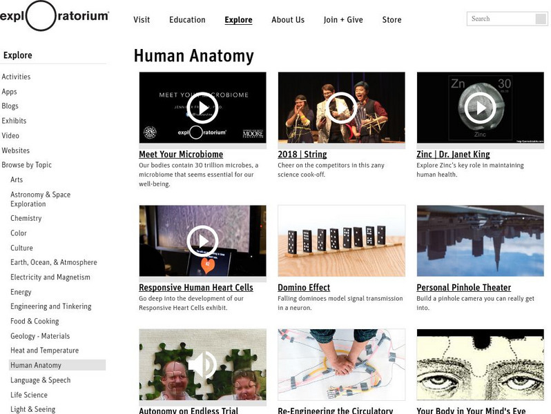 Exploratorium: Human Anatomy Activity Exploratorium: Human Anatomy Activity