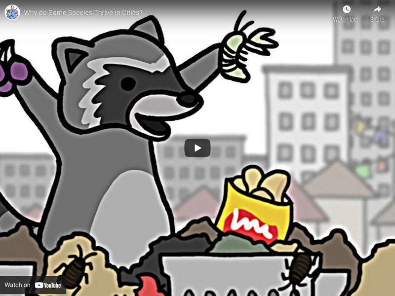 Minute Earth: Why Do Some Species Thrive in Cities? Instructional Video Minute Earth: Why Do Some Species Thrive in Cities? Instructional Video
