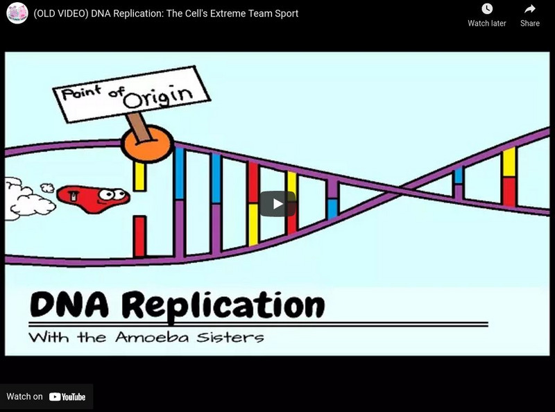 Amoeba Sisters: Dna Replication Instructional Video Amoeba Sisters: Dna Replication Instructional Video