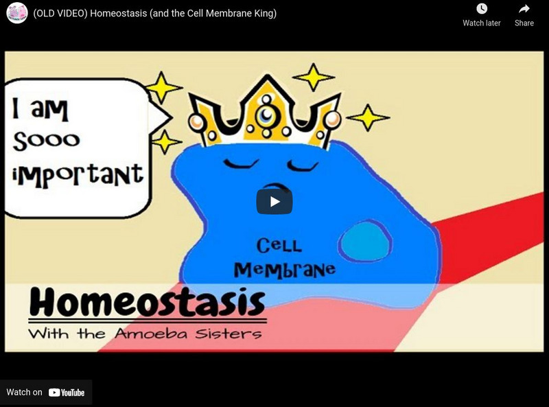 Amoeba Sisters: Homeostasis Instructional Video Amoeba Sisters: Homeostasis Instructional Video