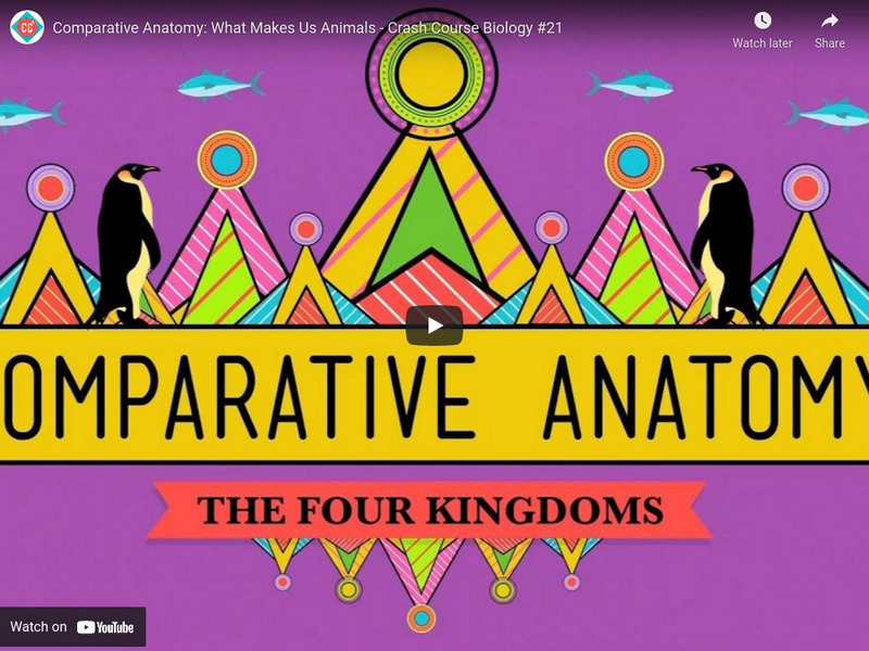 Crash Course Biology 21 Comparative Anatomy What Makes Us Animals Crash Course Biology 21 Comparative Anatomy What Makes Us Animals