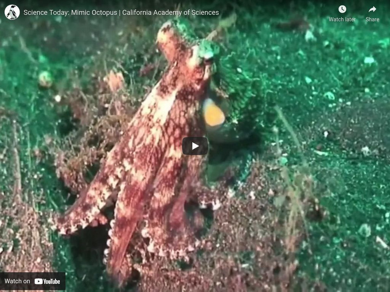 Ca Academy of Sciences: Mobile Microscope Instructional Video Ca Academy of Sciences: Mobile Microscope Instructional Video