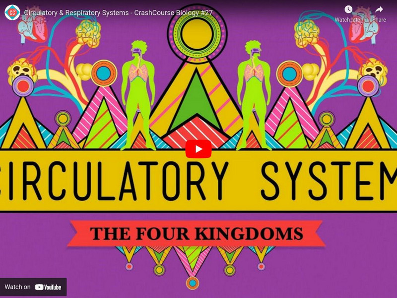 Crash Course Biology #27: Circulatory & Respiratory Systems Instructional Video Crash Course Biology #27: Circulatory & Respiratory Systems Instructional Video