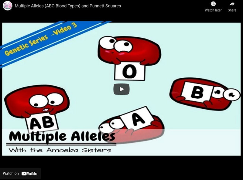 Amoeba Sisters: Multiple Alleles Instructional Video Amoeba Sisters: Multiple Alleles Instructional Video