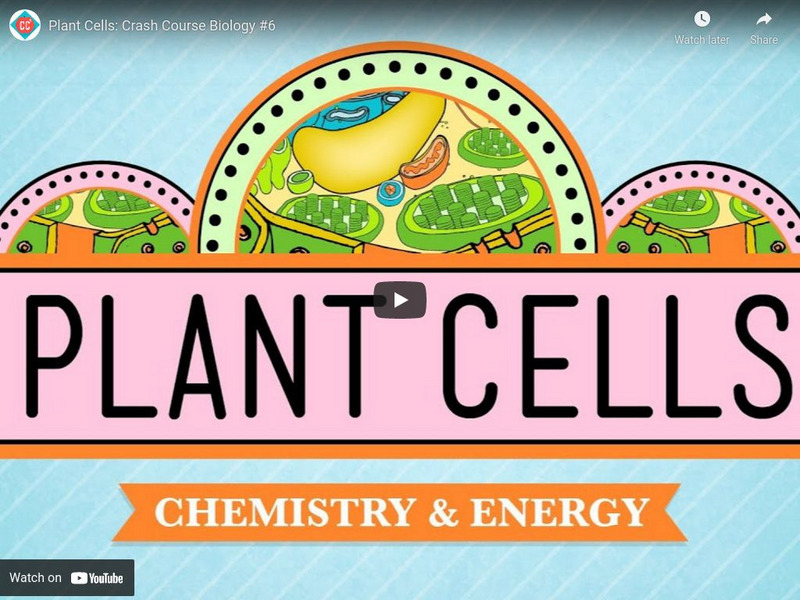 Crash Course Biology #6: Plant Cells Instructional Video Crash Course Biology #6: Plant Cells Instructional Video